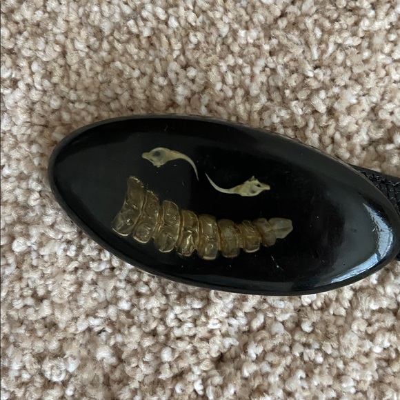 Genuine Lizard Belt With Orthoceras Fossil Buckle - Picture 2 of 6